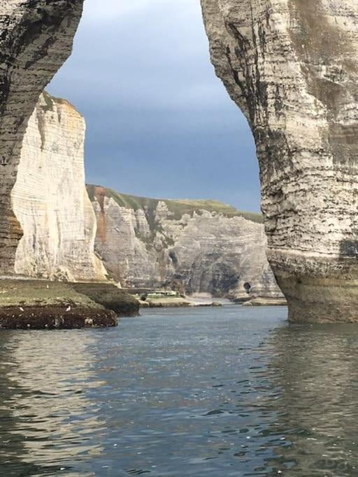 LES TAMARIS, Villa face à la mer, emplacement privilégié Veulettes-sur-Mer Exterior foto