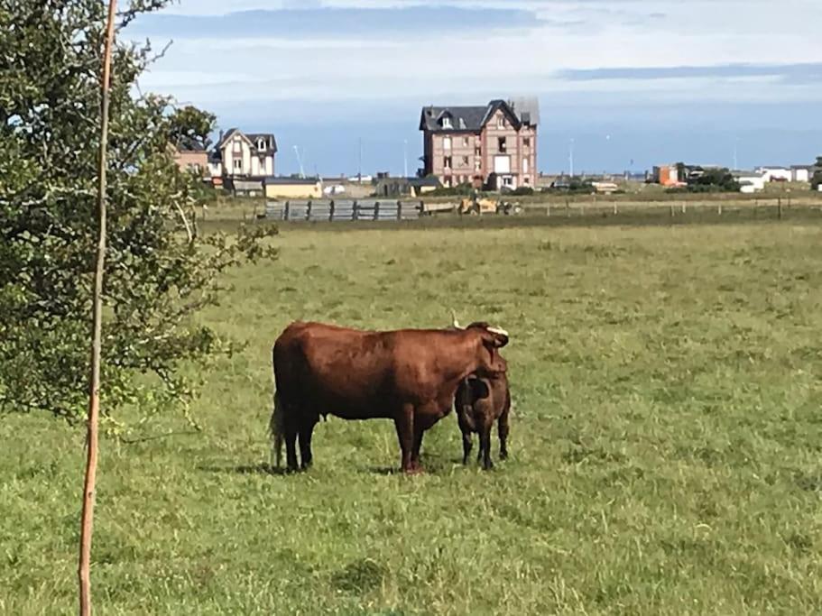 LES TAMARIS, Villa face à la mer, emplacement privilégié Veulettes-sur-Mer Exterior foto